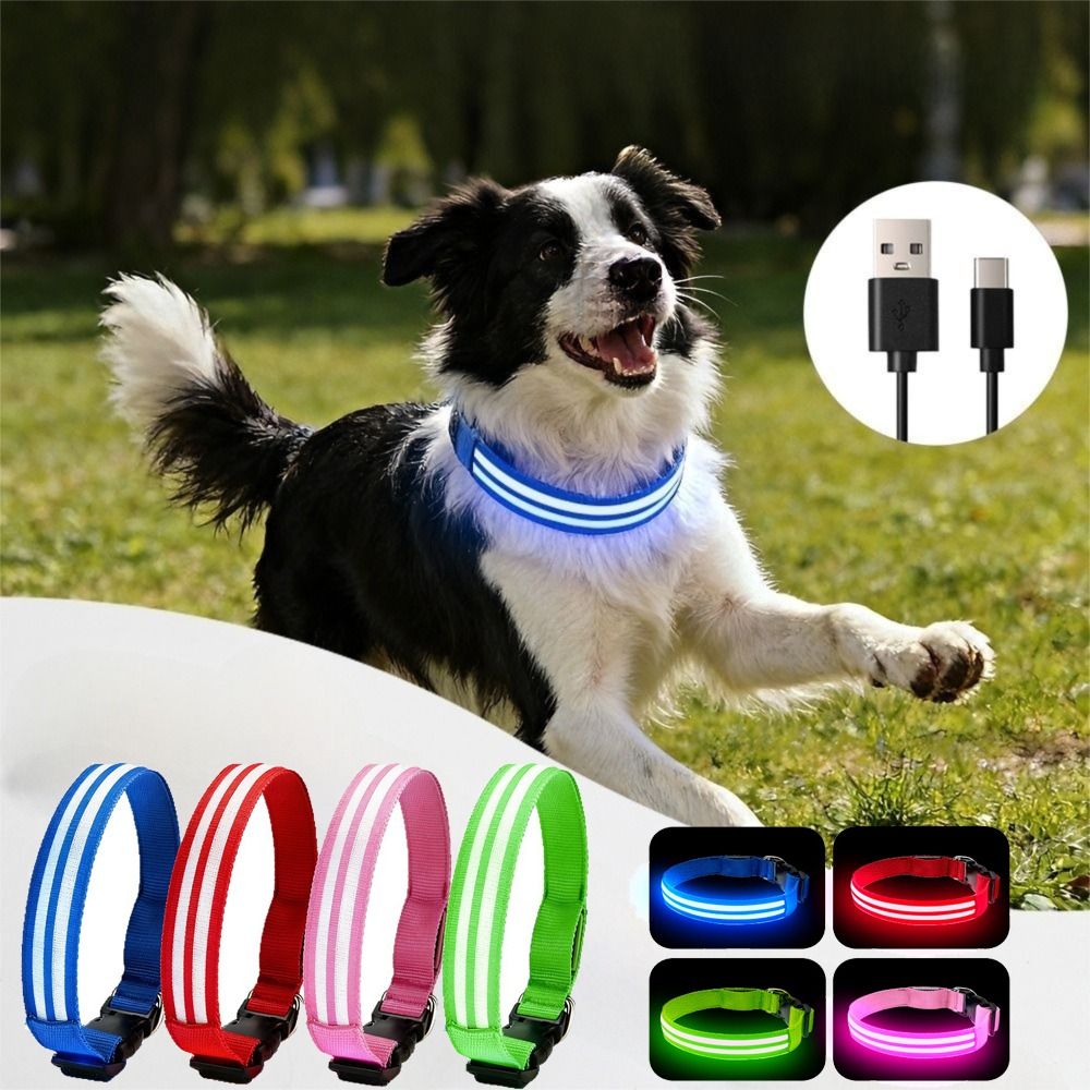 Adjustable Light Up Dog Collar - Tech Dog Accessories บทวิจารณ์และราคา