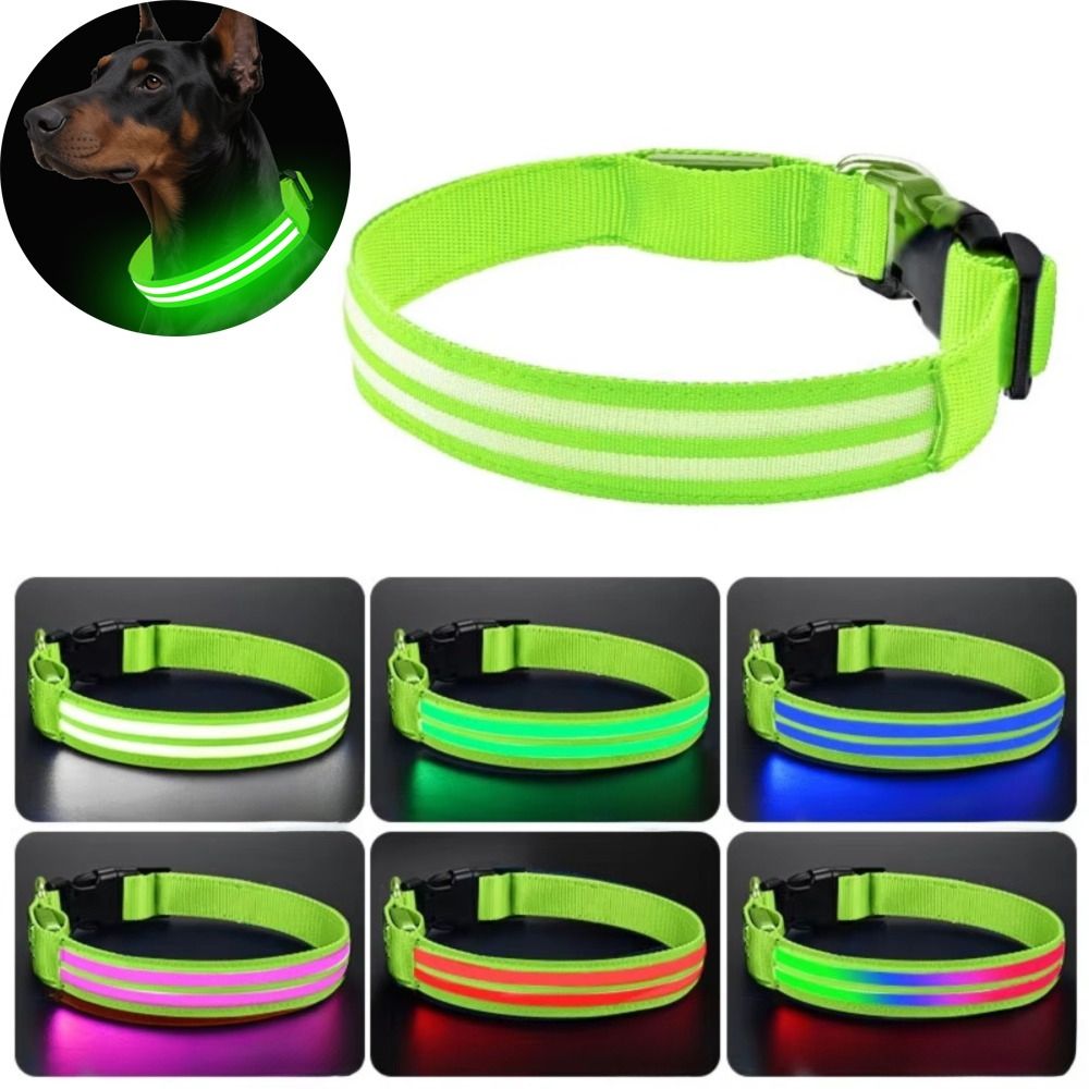 Adjustable Light Up Dog Collar - Tech Dog Accessories บทวิจารณ์และราคา