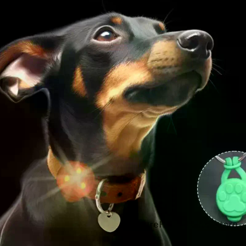 Silicone Pet Cat Dog Night LED - Tech Dog Accessories บทวิจารณ์และราคา