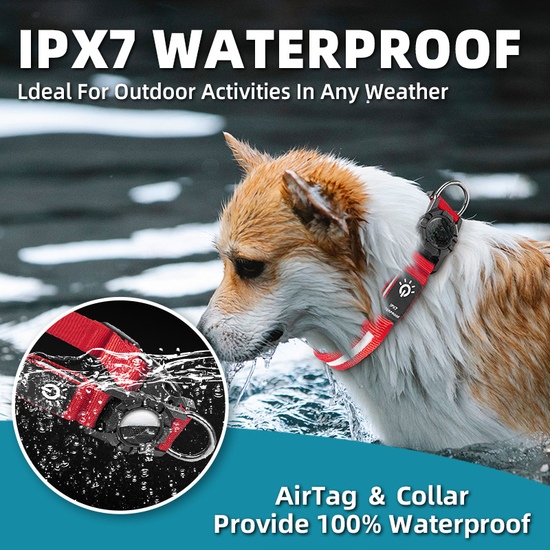 New Pet Collars WaterProof Led - Tech Dog Accessories บทวิจารณ์และราคา