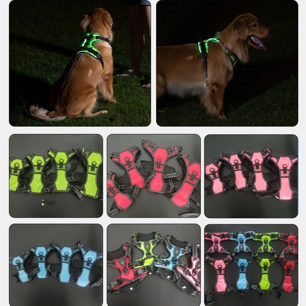 Light Up LED Dog Harness Recha - Tech Dog Accessories บทวิจารณ์และราคา