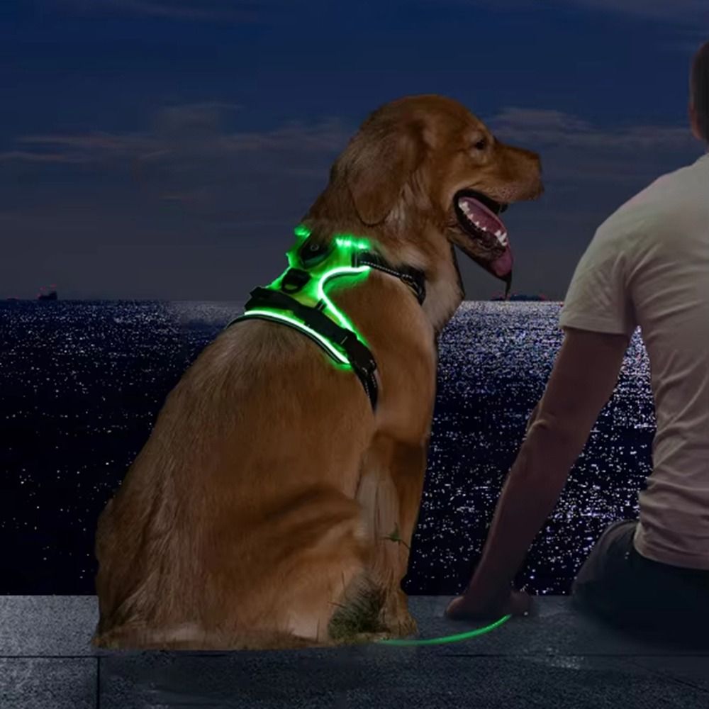 Light Up LED Dog Harness Recha - Tech Dog Accessories บทวิจารณ์และราคา