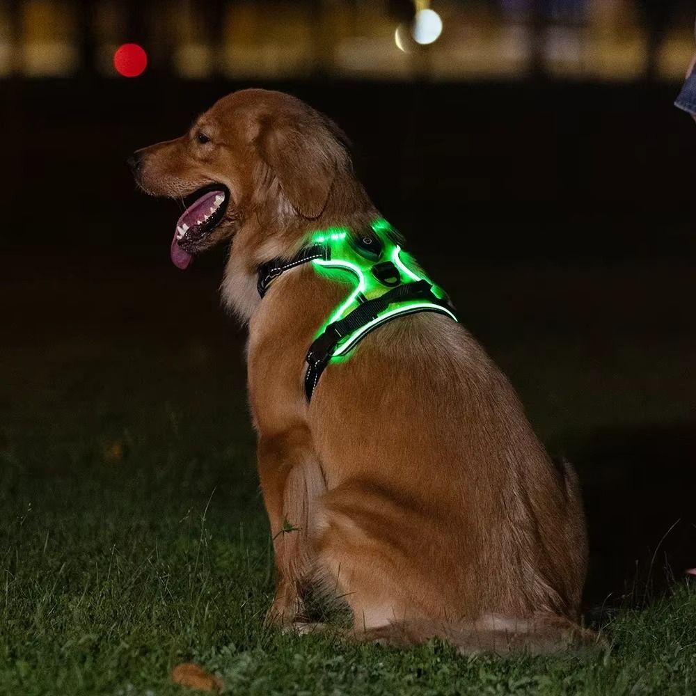 Light Up LED Dog Harness Recha - Tech Dog Accessories บทวิจารณ์และราคา