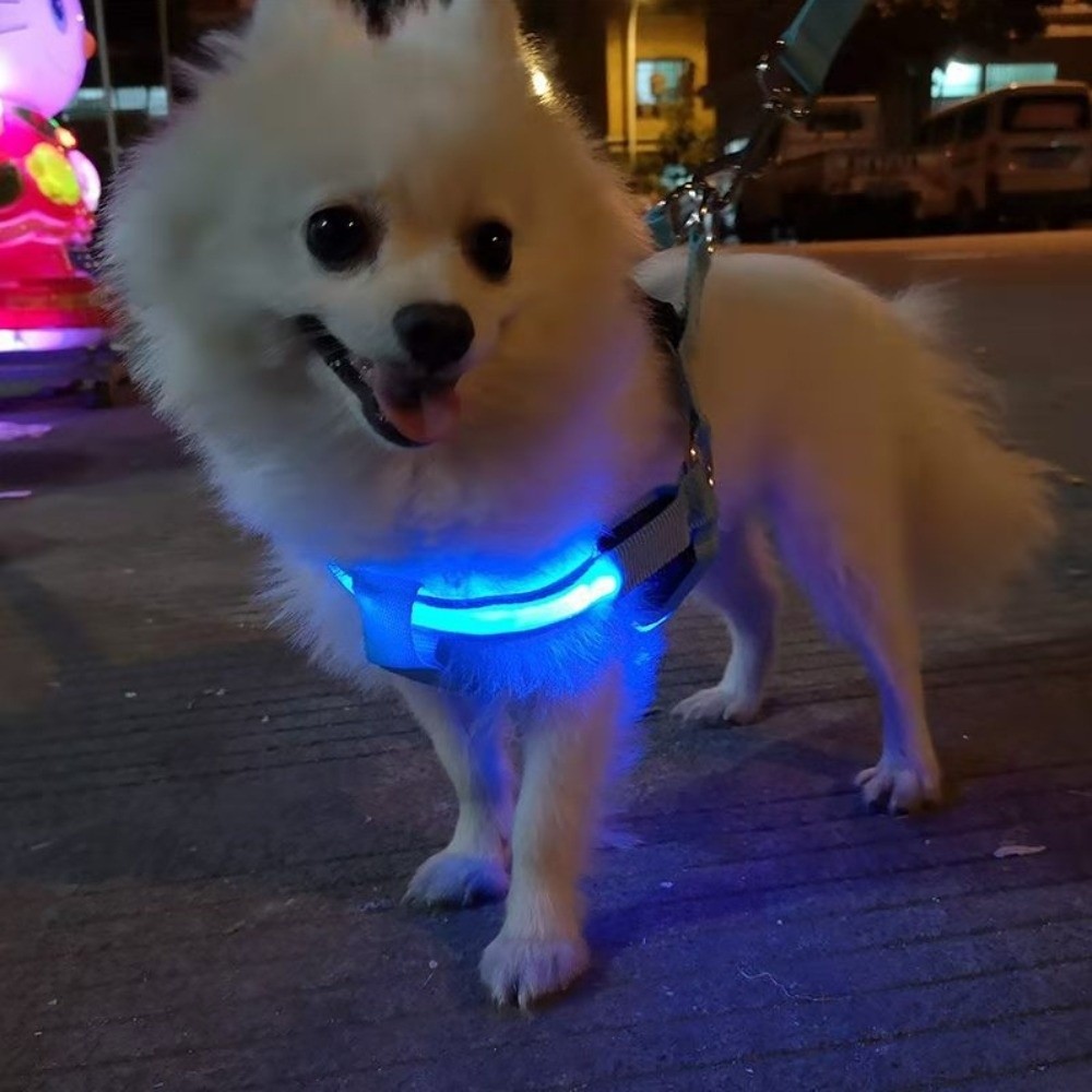 Breathable Light Up LED Dog Ha - Tech Dog Accessories บทวิจารณ์และราคา