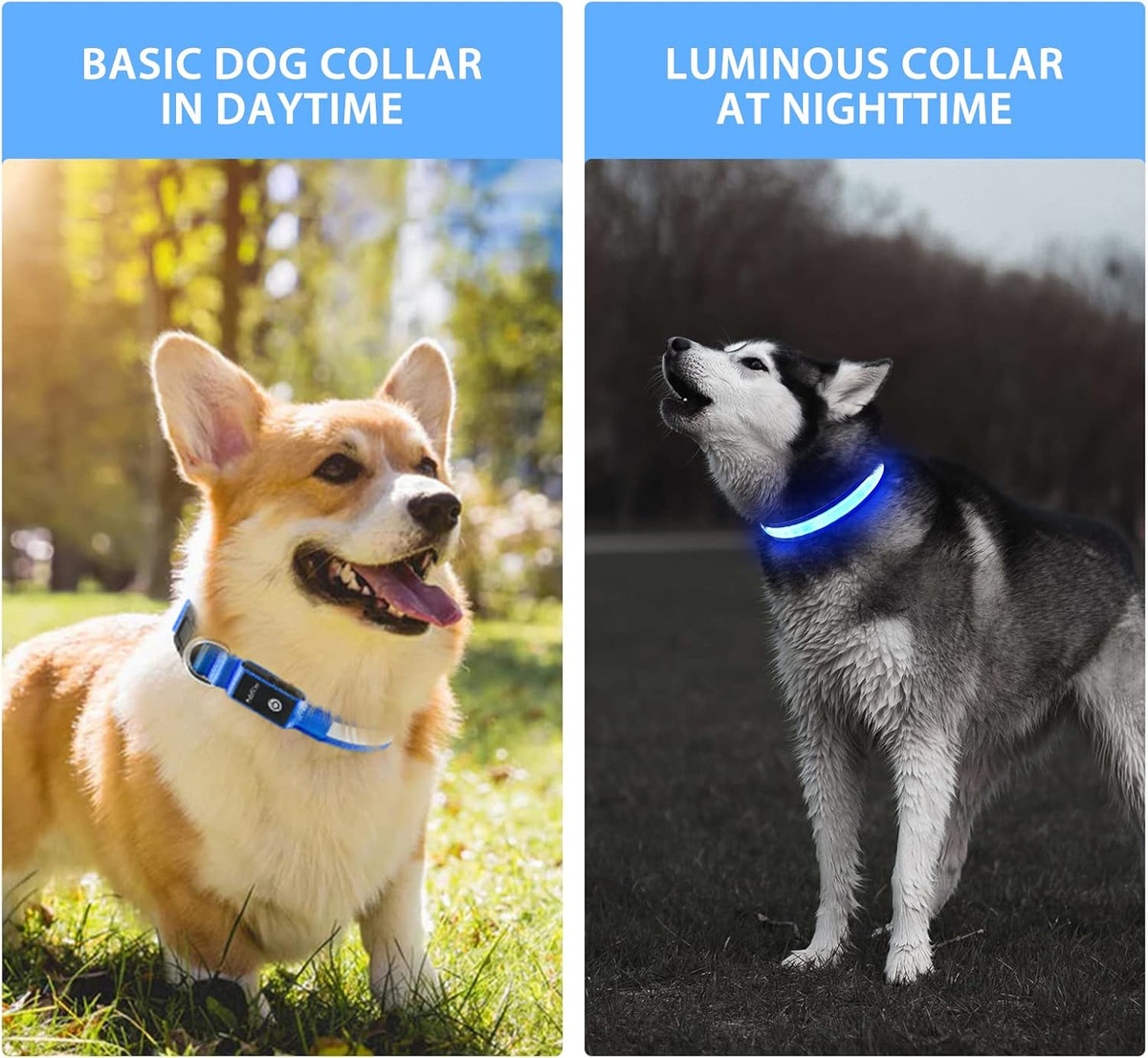 USB LED Dog Collar Lights - Ad - Tech Dog Accessories บทวิจารณ์และราคา
