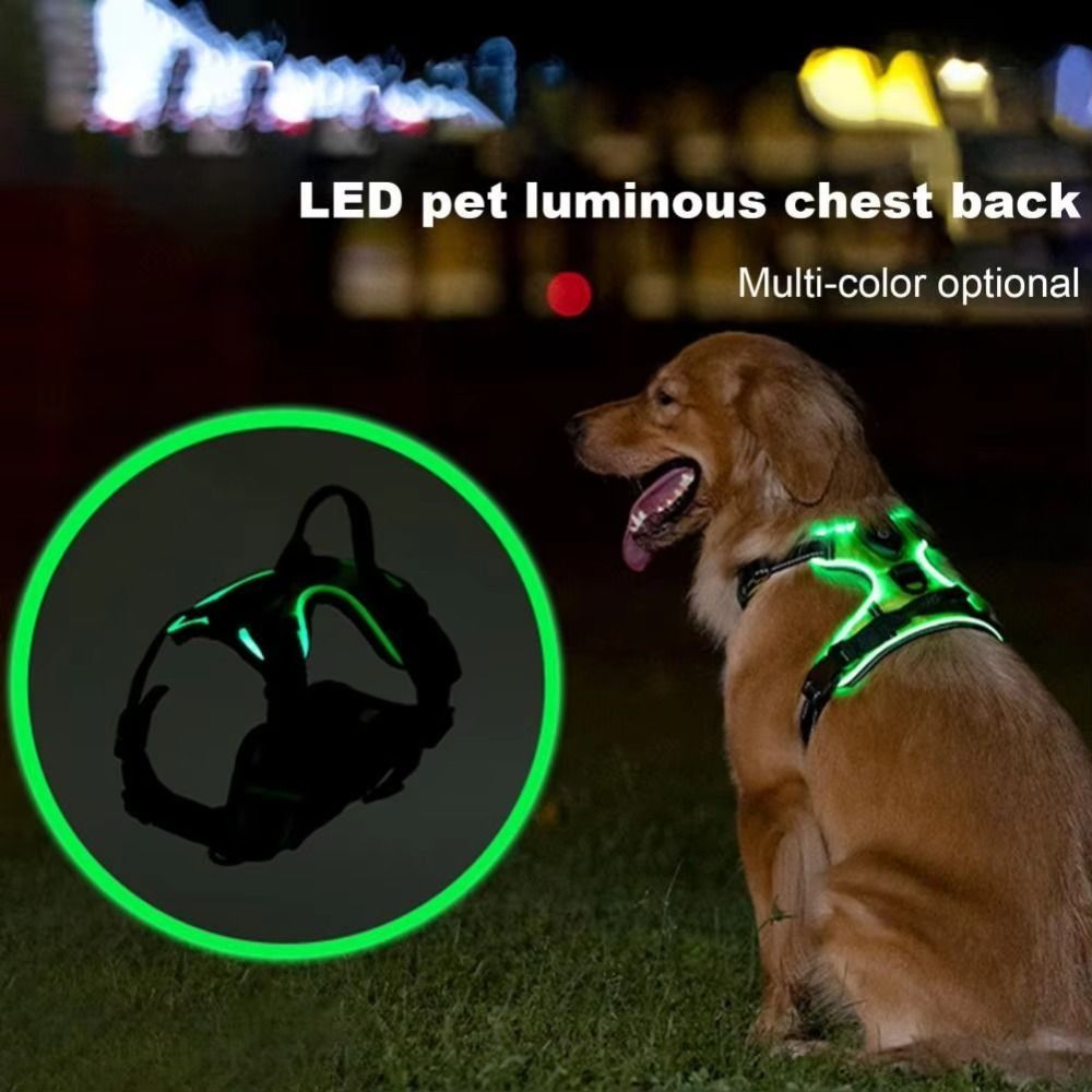 Durable Light Up LED Dog Harne - Tech Dog Accessories บทวิจารณ์และราคา