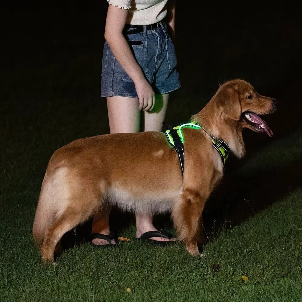 Durable Light Up LED Dog Harne - Tech Dog Accessories บทวิจารณ์และราคา