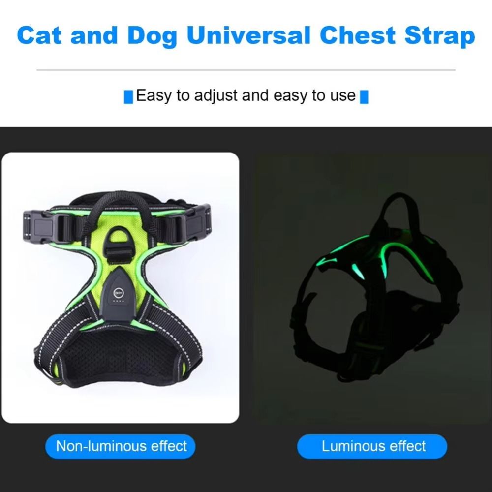 Durable Light Up LED Dog Harne - Tech Dog Accessories บทวิจารณ์และราคา