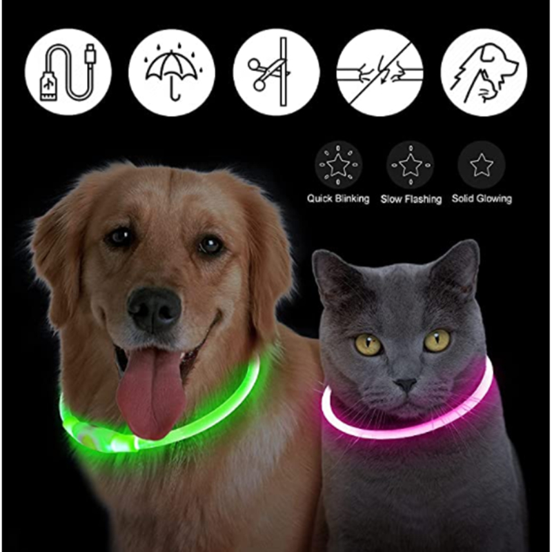 USB Rechargeable Luminous Coll - Tech Dog Accessories บทวิจารณ์และราคา