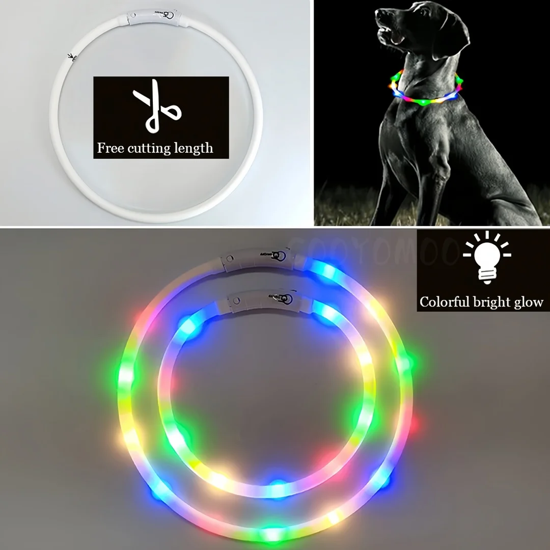 New Led Luminous Dog Collar 4  - Tech Dog Accessories บทวิจารณ์และราคา