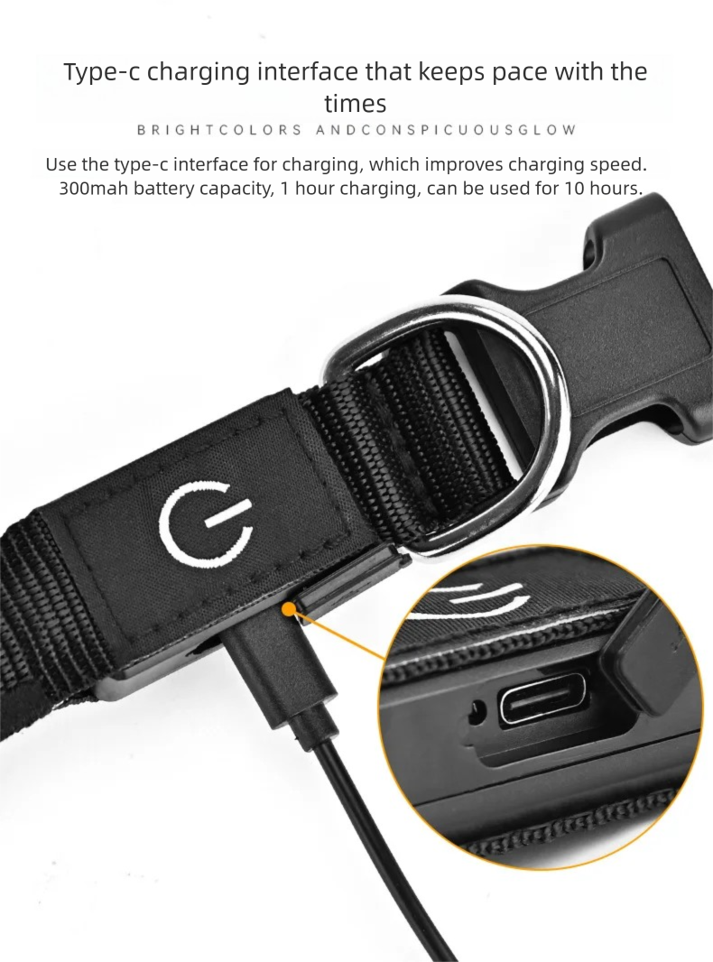 LED Dog Collar USB Rechargeabl - Tech Dog Accessories บทวิจารณ์และราคา