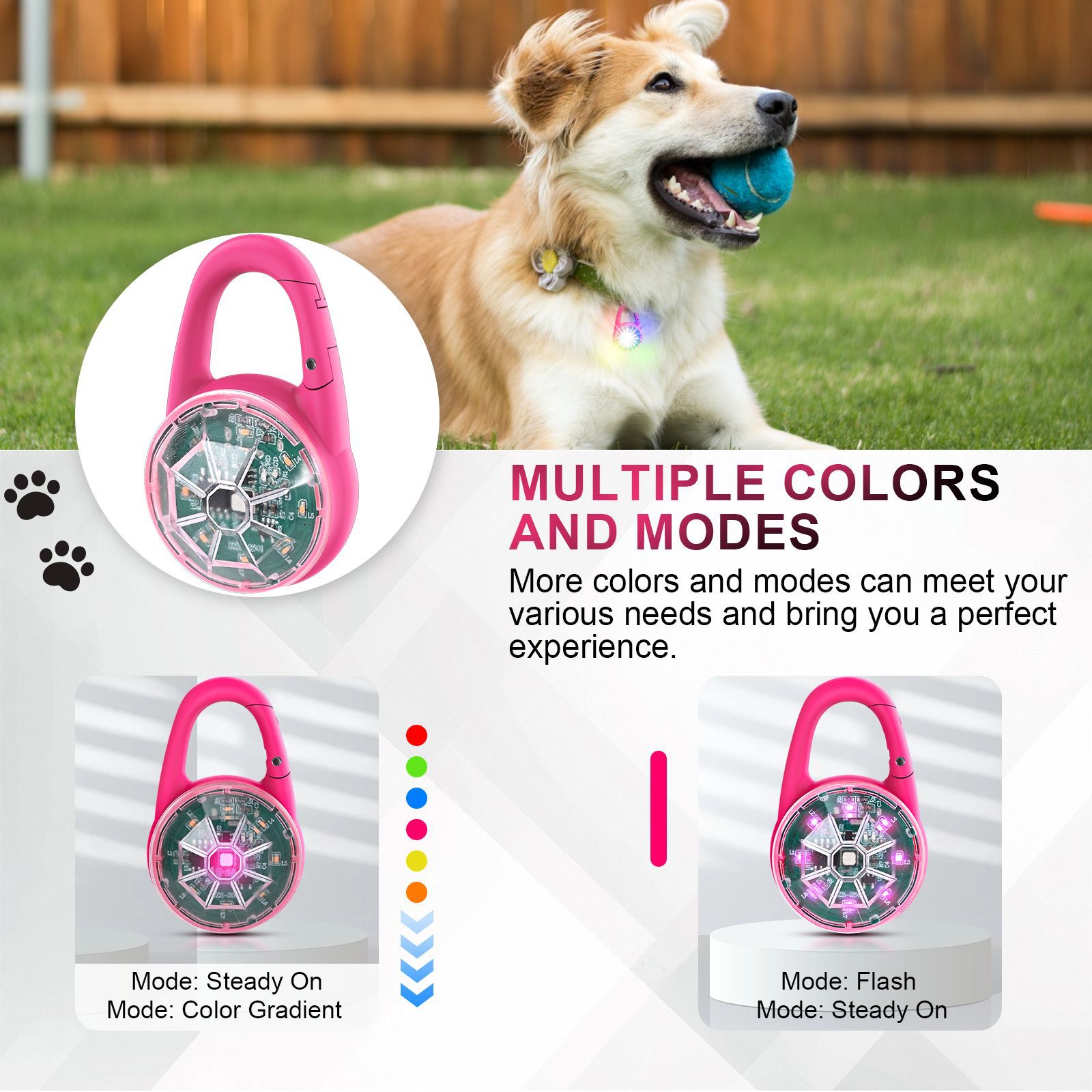 USB Rechargeable LED Pet Safet - Tech Dog Accessories บทวิจารณ์และราคา