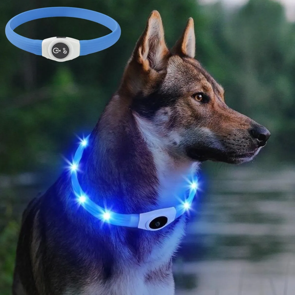 New Led Luminous Dog Collar PV - Tech Dog Accessories บทวิจารณ์และราคา