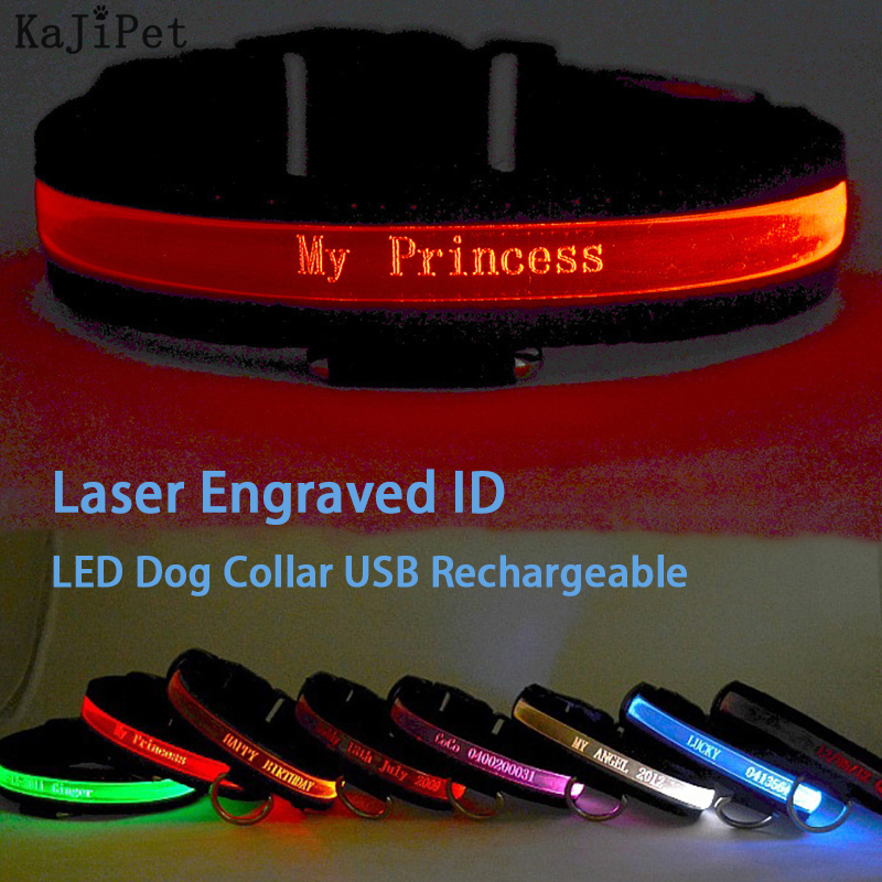 Engraved ID LED Dog Collar Lum - Tech Dog Accessories บทวิจารณ์และราคา
