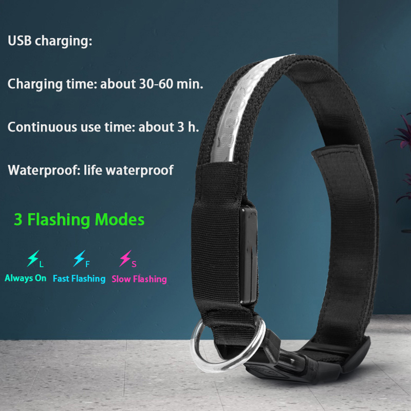Engraved ID LED Dog Collar Lum - Tech Dog Accessories บทวิจารณ์และราคา