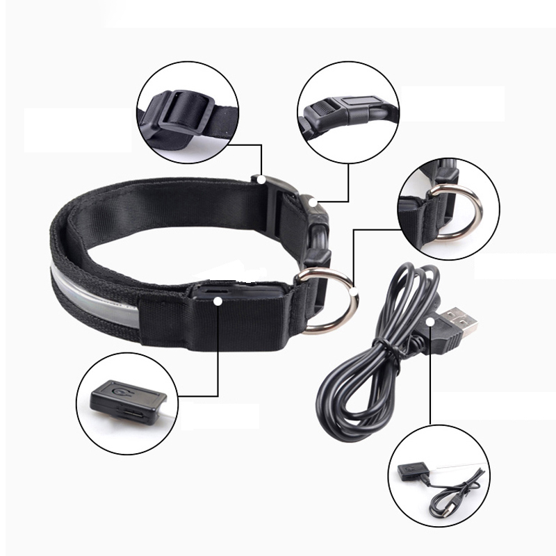 Engraved ID LED Dog Collar Lum - Tech Dog Accessories บทวิจารณ์และราคา