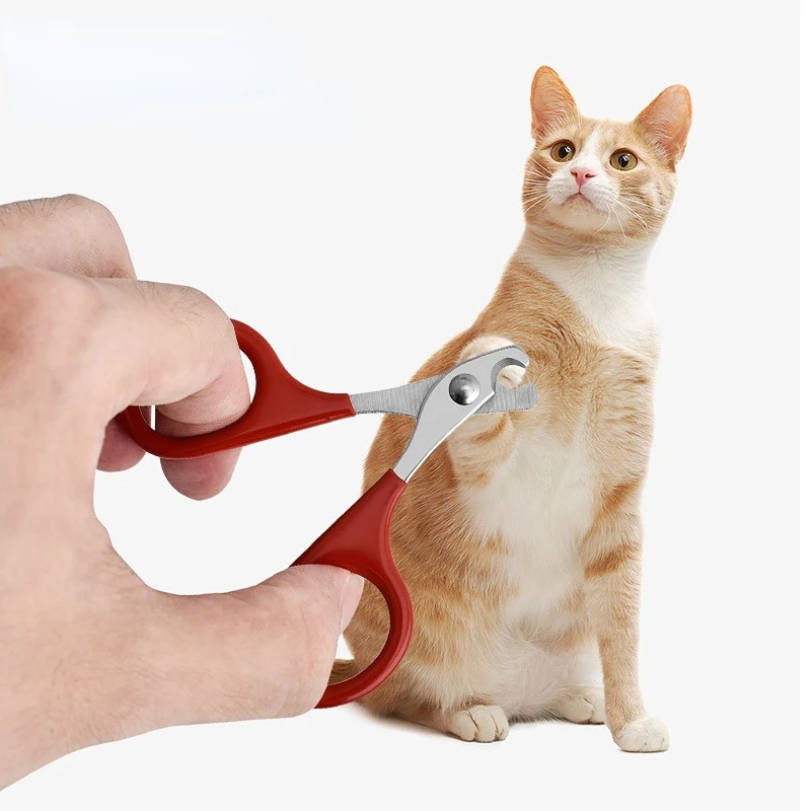 Professional Cat Nail Scissors - Tech Dog Accessories บทวิจารณ์และราคา