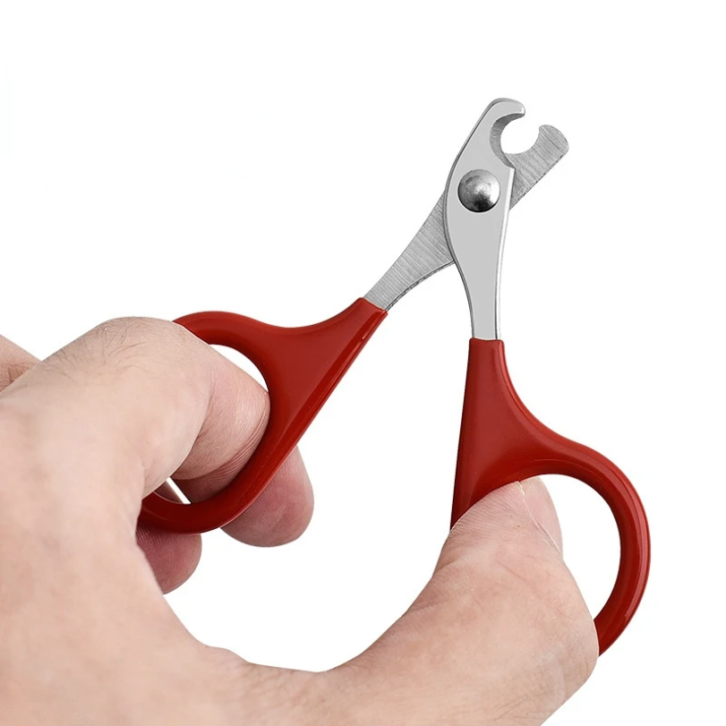 Professional Cat Nail Scissors - Tech Dog Accessories บทวิจารณ์และราคา